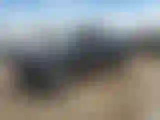 Vehicle Image- 1996 Toyota Tacoma