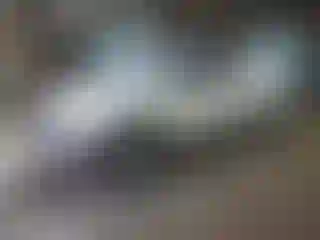 Vehicle Image- 1998 Toyota Tacoma