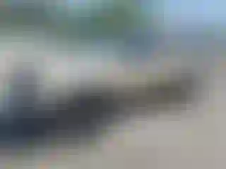Vehicle Image- 1999 Toyota Tacoma