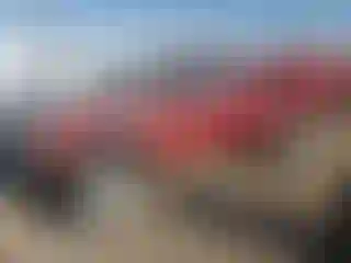 Vehicle Image- 2000 Toyota Tacoma
