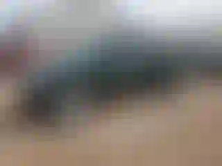 Vehicle Image- 2000 Toyota Tacoma