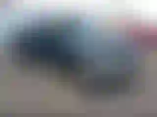 Vehicle Image- 1997 Toyota Tacoma