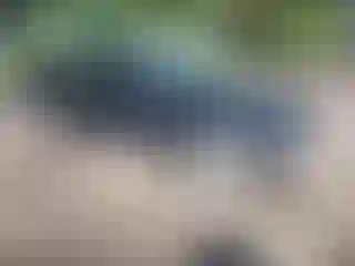 Vehicle Image- 2017 Mercedes Benz Klasa C