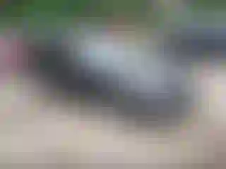 Vehicle Image- 2015 Mercedes Benz Klasa C