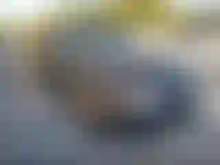 Vehicle Image- 2004 Honda Odyssey