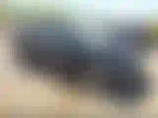 Vehicle Image- 2004 Honda Odyssey