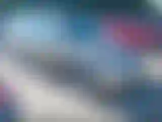Vehicle Image- 2004 Honda Odyssey