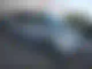 Vehicle Image- 2004 Honda Odyssey