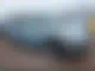 Vehicle Image- 2004 Honda Odyssey