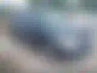 Vehicle Image- 2004 Honda Odyssey