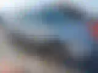 Vehicle Image- 2004 Honda Odyssey