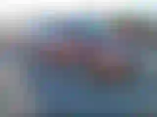 Vehicle Image- 2004 Honda Odyssey