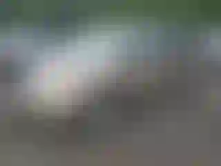 Vehicle Image- 2004 Honda Odyssey