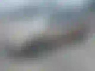 Vehicle Image- 2003 Honda Odyssey