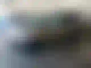 Vehicle Image- 2004 Honda Odyssey