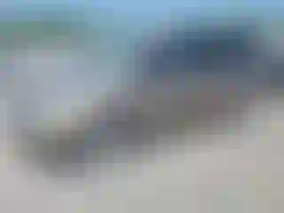 Vehicle Image- 2004 Honda Odyssey