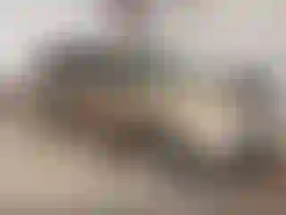 Vehicle Image- 2003 Honda Odyssey