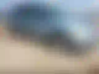 Vehicle Image- 2004 Honda Odyssey