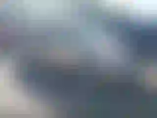 Vehicle Image- 2004 Honda Odyssey
