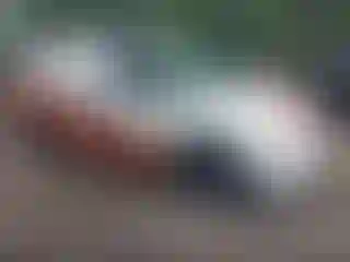 Vehicle Image- 2004 Honda Odyssey