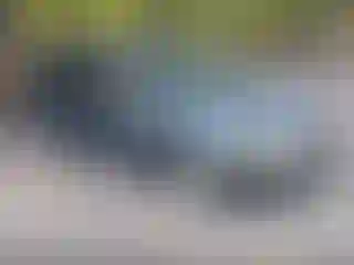 Vehicle Image- 2003 Honda Odyssey