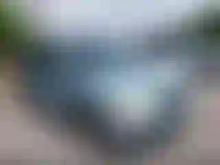 Vehicle Image- 2004 Honda Odyssey