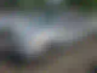 Vehicle Image- 2003 Honda Odyssey