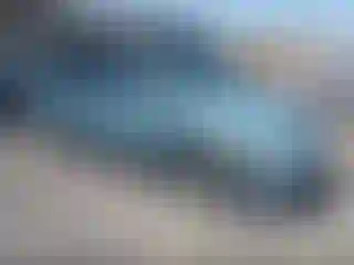 Vehicle Image- 2004 Honda Odyssey