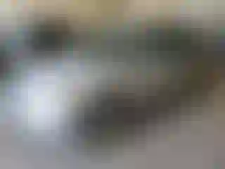 Vehicle Image- 2002 Honda Odyssey