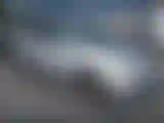 Vehicle Image- 2004 Honda Odyssey