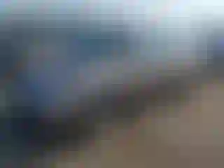 Vehicle Image- 2004 Honda Odyssey