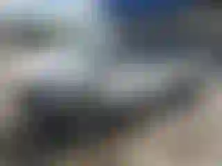 Vehicle Image- 2004 Honda Odyssey