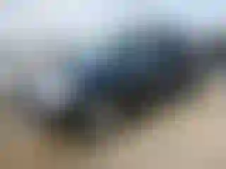 Vehicle Image- 2004 Honda Odyssey