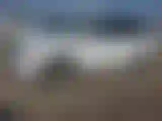 Vehicle Image- 2003 Honda Odyssey
