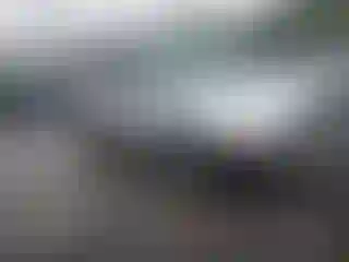 Vehicle Image- 2004 Honda Odyssey