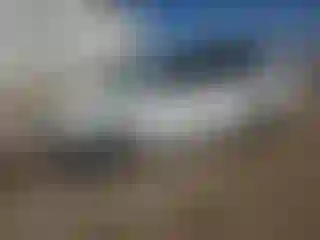 Vehicle Image- 2004 Honda Odyssey