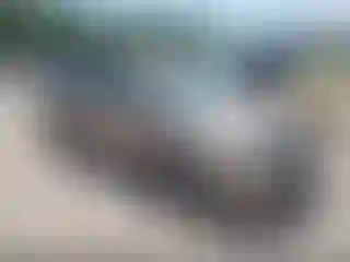 Vehicle Image- 2003 Honda Odyssey