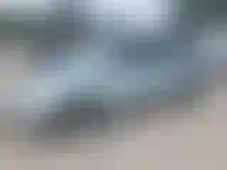 Vehicle Image- 2004 Honda Odyssey