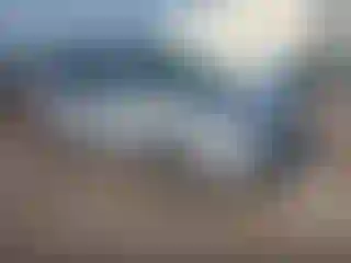 Vehicle Image- 2004 Honda Odyssey