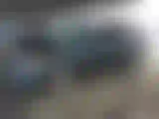 Vehicle Image- 2004 Honda Odyssey