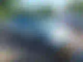 Vehicle Image- 2004 Honda Odyssey