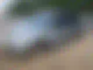 Vehicle Image- 2004 Honda Odyssey