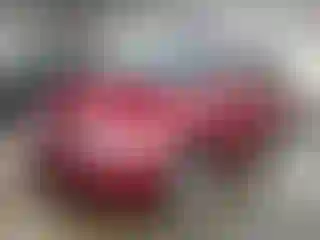 Vehicle Image- 2004 Honda Odyssey