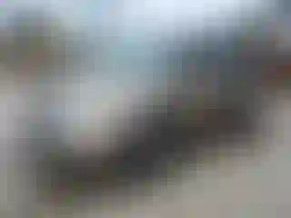 Vehicle Image- 2004 Honda Odyssey