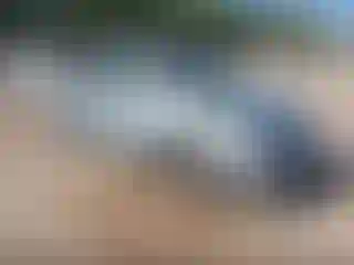 Vehicle Image- 2004 Honda Odyssey