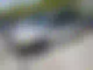 Vehicle Image- 2004 Honda Odyssey