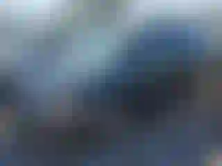 Vehicle Image- 2004 Honda Odyssey