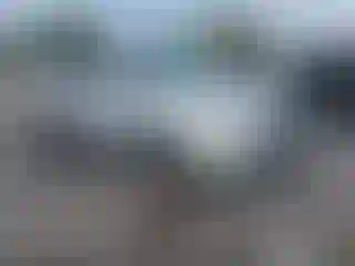 Vehicle Image- 2004 Honda Odyssey
