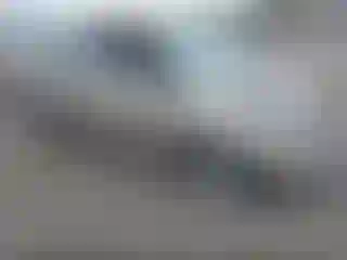 Vehicle Image- 2004 Honda Odyssey