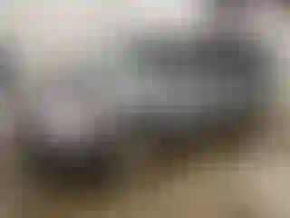 Vehicle Image- 2002 Honda Odyssey